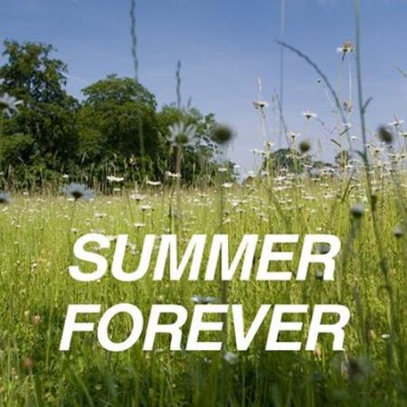 Summer Forever (2026) FLAC